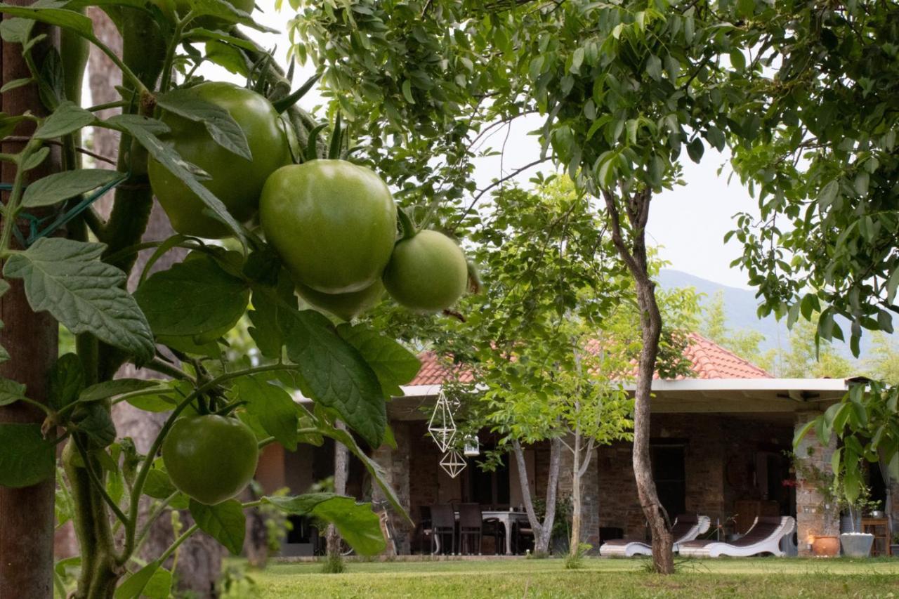 Apartamento Sinanis Garden House Volos Exterior foto
