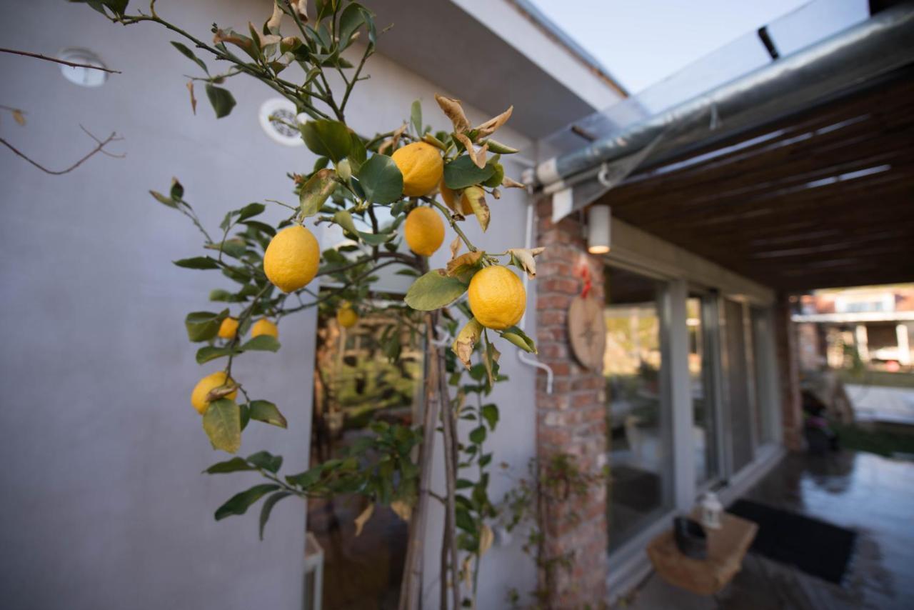 Apartamento Sinanis Garden House Volos Exterior foto